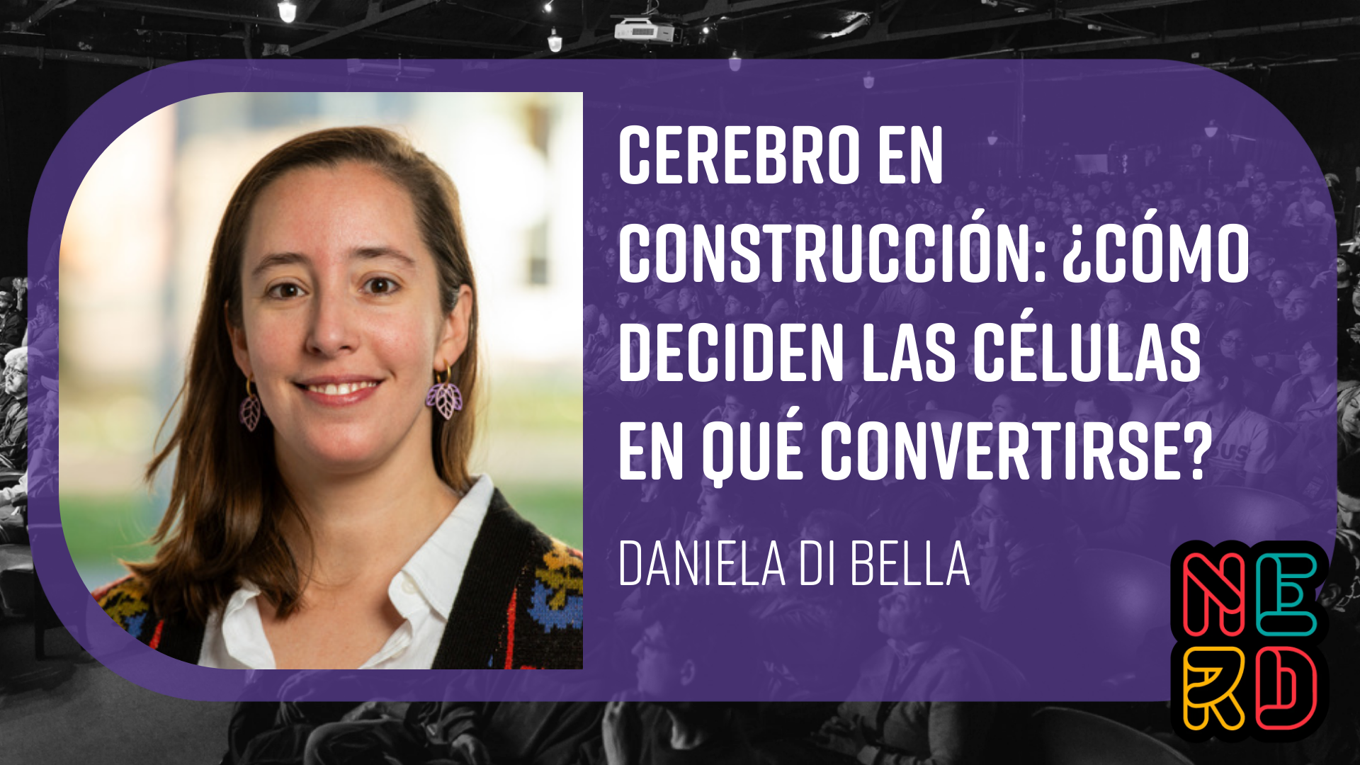 Cerebro en construcción: ¿cómo deciden las células en qué convertirse?