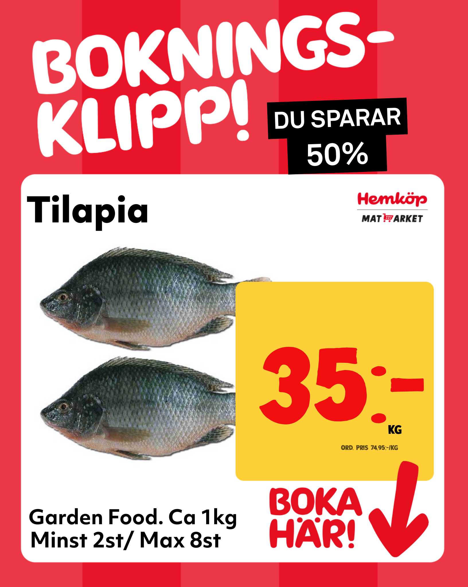 tilapia