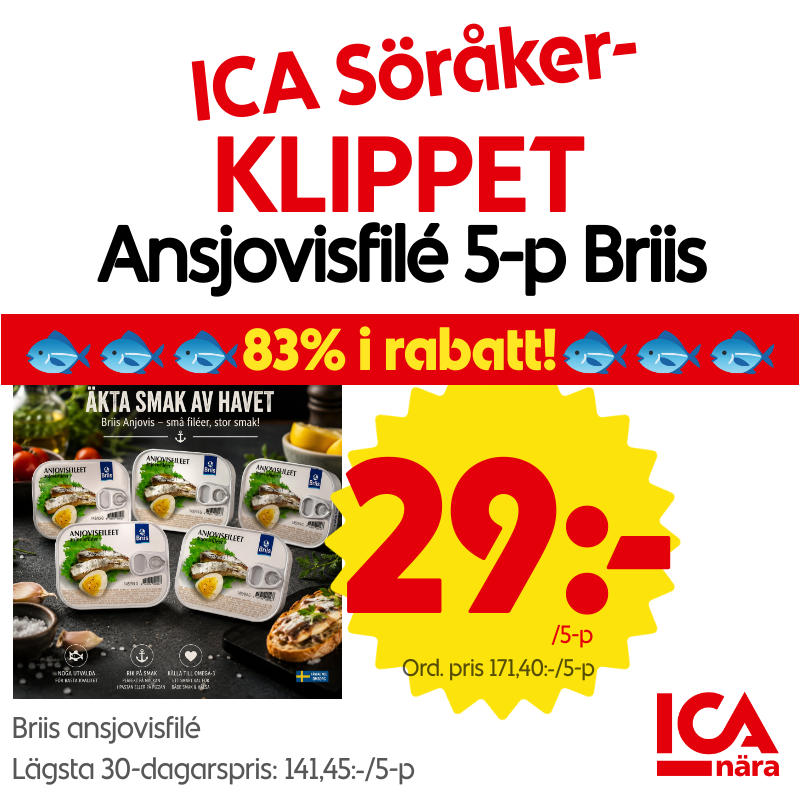 Ansjovisfilé 5-p Briis